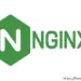 What-Is-Nginx-Install-Configure-Nginx-Web-Server